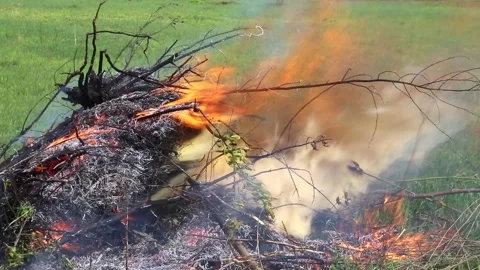 Bonfire in a field with a strong wind Stock Footage 86151159