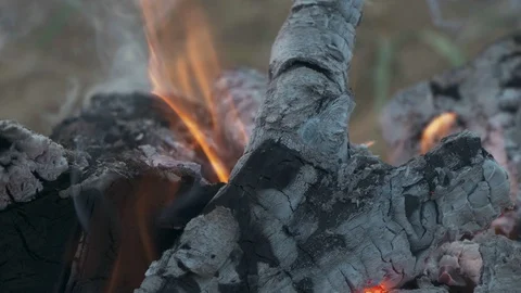 Bonfire with fire and glowing coals on the beach Stock Footage 110694817