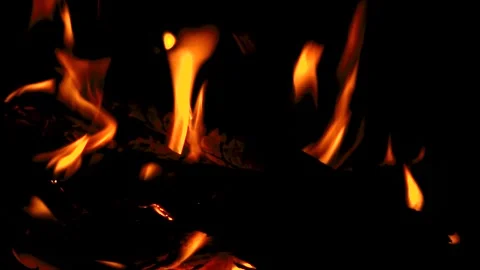 Bonfire fire on black background Video stock 144198648