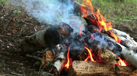 Bonfire, Fire flame close up Stock Footage 45912457