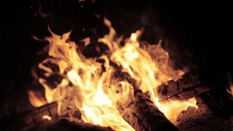 Bonfire. Fire. Flame. Sparkles in Night Video stock 69833102