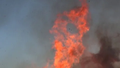 Bonfire  Fire flames and ashes against blue sky Stock Footage 75151711