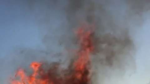 Bonfire  Fire flames and ashes against blue sky Stock Footage 75152525