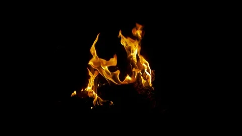 Bonfire. Fire in slow motion. Video stock 126791843