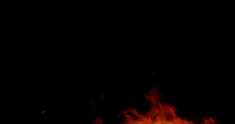 Bonfire Fire Sparkles And Flame At Night Stock Footage 102513594