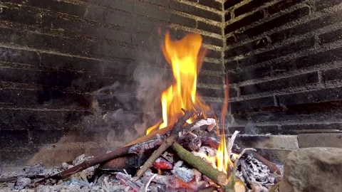 Bonfire with fire while burning wooden logs Stock Footage 238075594