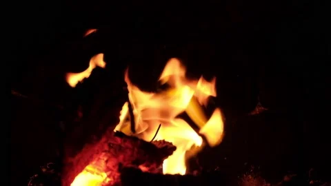 Bonfire in the fireplace at home	 動画素材 163152322