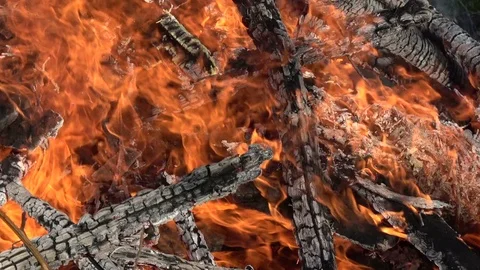 Bonfire with firewood  background Stock Footage 75615725