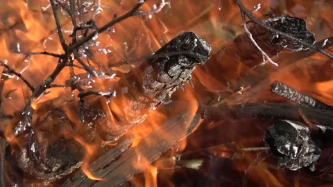 Bonfire  flame abstract background, slow motion Stock Footage 75996869