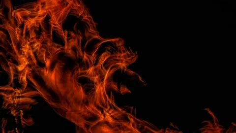 Bonfire flame animation Stock Footage 167094181