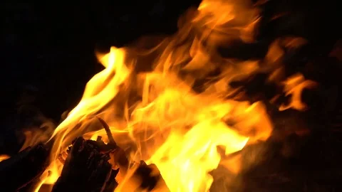 Bonfire flame night Stock Footage 79577798