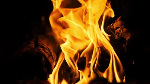 Bonfire Flames on Black Background Stock-Footage 303707147