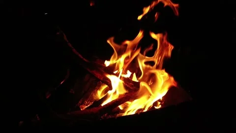 Bonfire flames on a black background. Slow motion Stock Footage 258058201