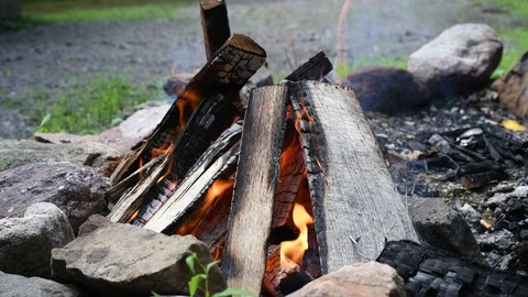 Bonfire flames of camping fire, burning firewood. Beautiful campfire outdoors Stock Footage 112718184