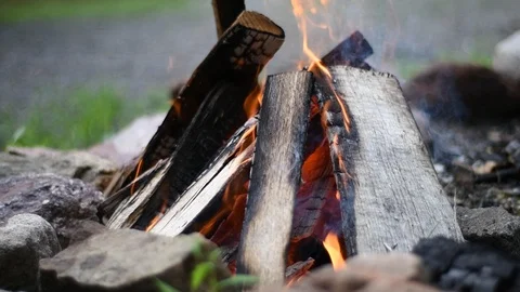 Bonfire flames of camping fire, slow motion burning firewood. Beautiful campf Stock Footage 112718320
