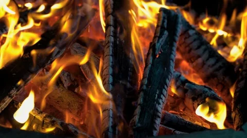 Bonfire flames. close up shooting Stock Footage 240730660