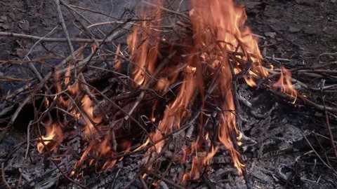 Bonfire. Flames of fire #4 Stock Footage 238086751