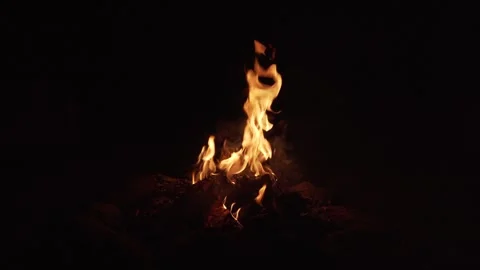 Bonfire flames isolated on black background. Stock-Footage 279888876