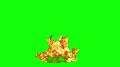 Bonfire flames warmth realistic on green screen backgrounds motion element .. Video stock 336008252