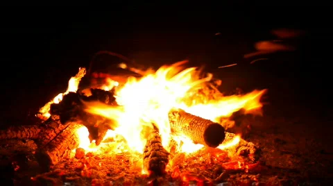 Bonfire Stock Footage