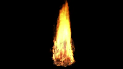 Bonfire Stock Footage 1037980