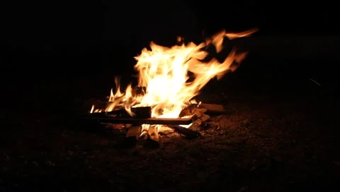 Bonfire Stock Footage 4484394