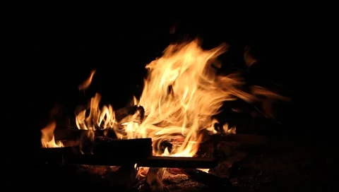 Bonfire Stock Footage 4484496