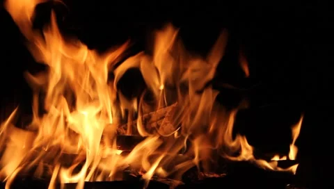 Bonfire Stock Footage 4484782