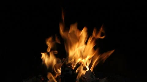 Bonfire Stock Footage 7740976