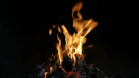 Bonfire Stock Footage 7741072
