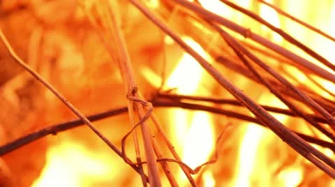 Bonfire 스톡 동영상 10918927