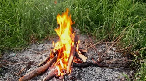 Bonfire Stockbeeldmateriaal 10919644