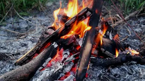 Bonfire Stock Footage 10919896