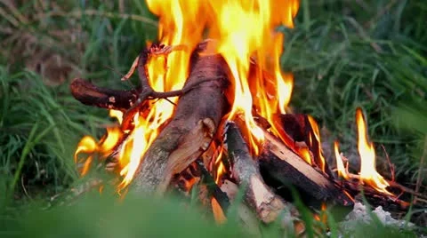 Bonfire Stockbeeldmateriaal 10920330