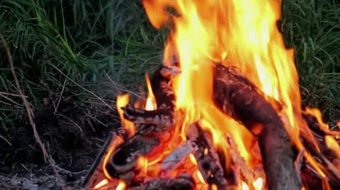 Bonfire Stockbeeldmateriaal 10920396