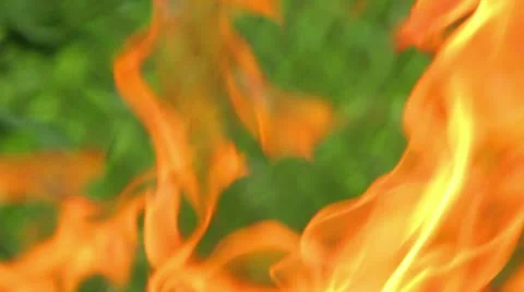 Bonfire Stock Footage 10970816