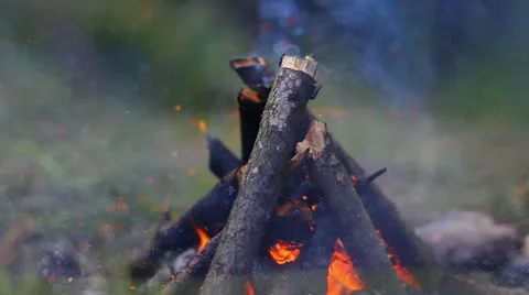 Bonfire Stock Footage 11642181