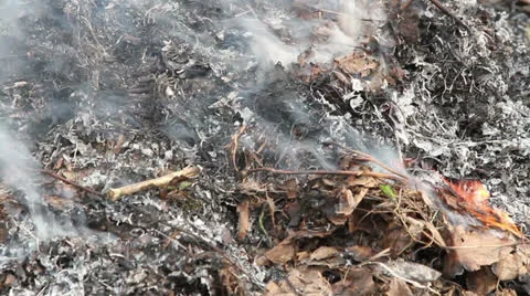 Bonfire Stock Footage 24369786