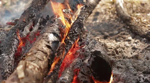 Bonfire Video stock 24568736
