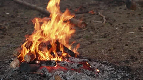 Bonfire Stock Footage 24568898