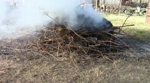 A bonfire Stock Footage 24696757