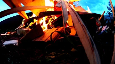 BonFire Video stock 74852042
