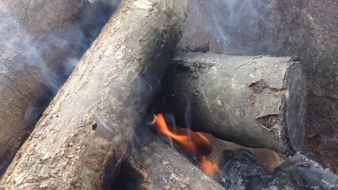 Bonfire 動画素材 81393582