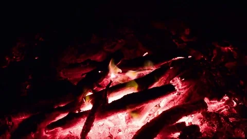 Bonfire Stock Footage 83949739
