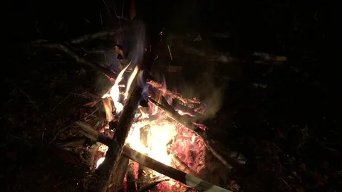 Bonfire Stock Footage 97820017