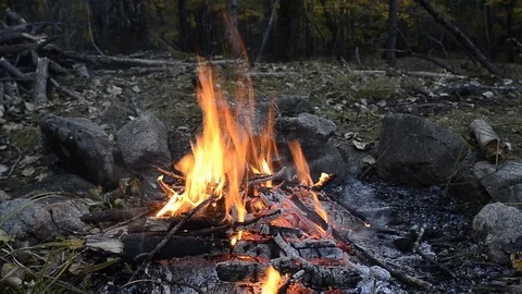 Bonfire Video stock 101822768
