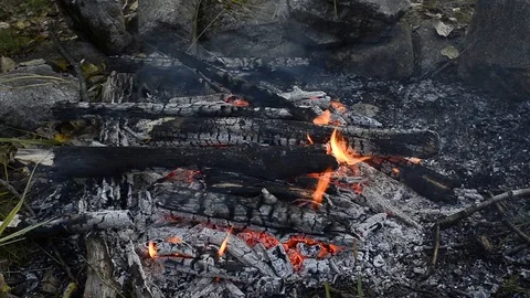 Bonfire Video stock 104338057