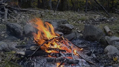 Bonfire Stock Footage 105040646