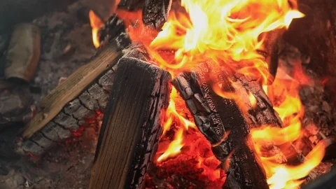 Bonfire Stock Footage 106349886
