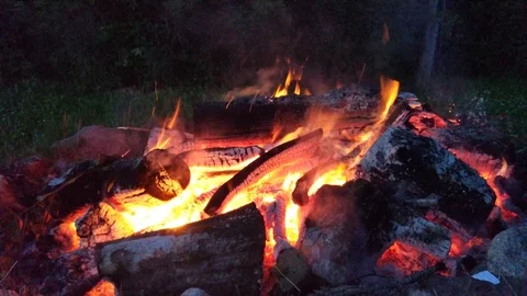 Bonfire Stock Footage 111778563